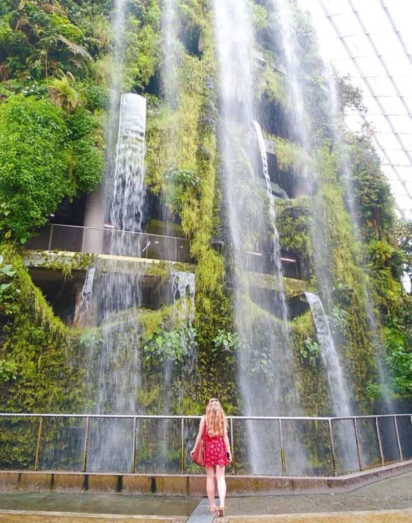 Cloud Forest Singapore itinerary