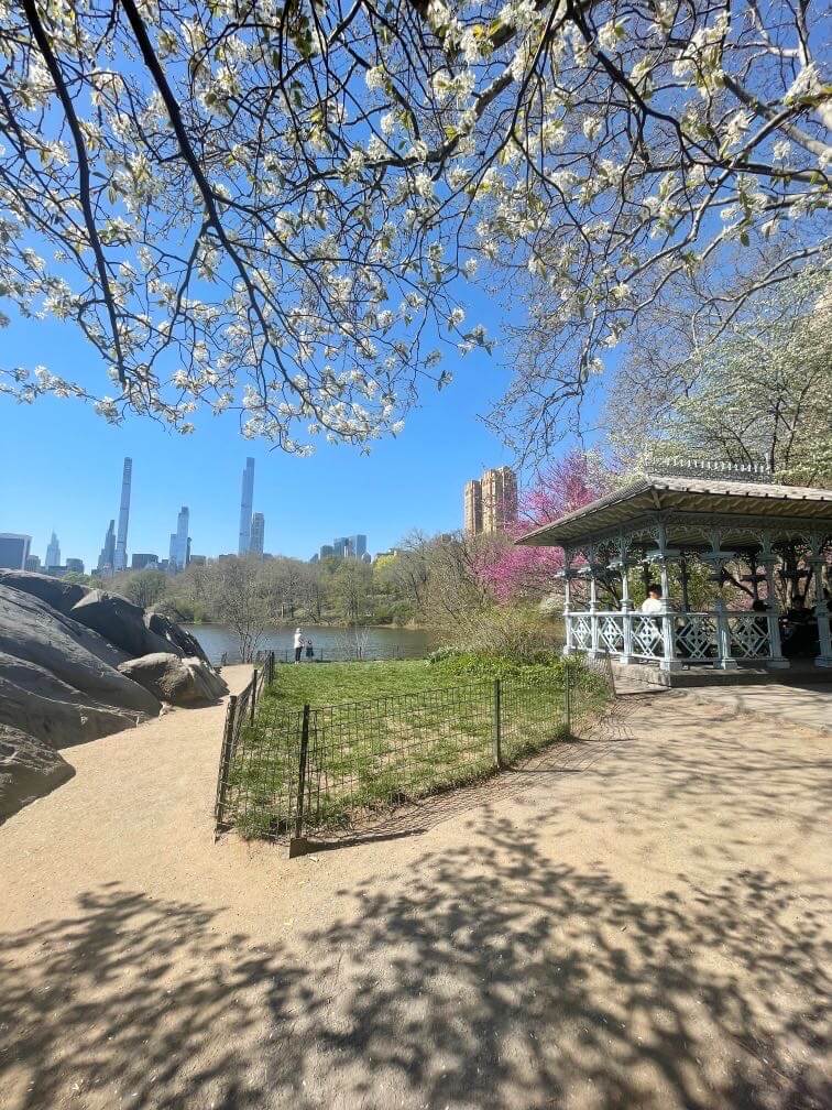 central park nyc